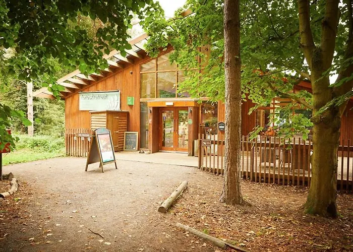 Thorpe Forest Cabins - Forest Holidays Thetford