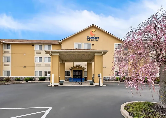 Comfort Inn & Suites Fairborn Near Wright Patterson Afb