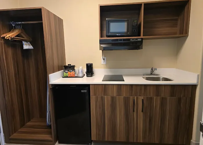 Harlingen Dog Friendly Hotels