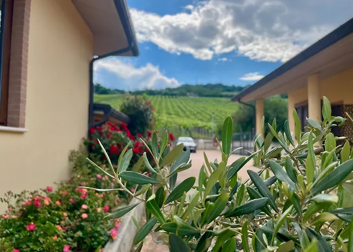 Vigneto - Italian Restaurant&B&B