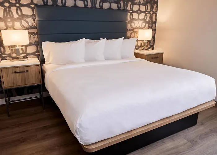Hive House Hotel Cary