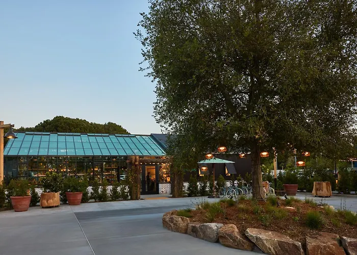 Treehouse Hotel Silicon Valley