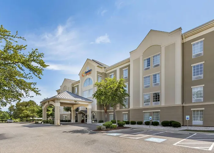 Comfort Suites Central
