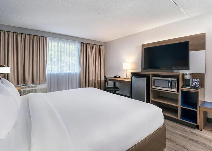 Comfort Suites Kingston Central