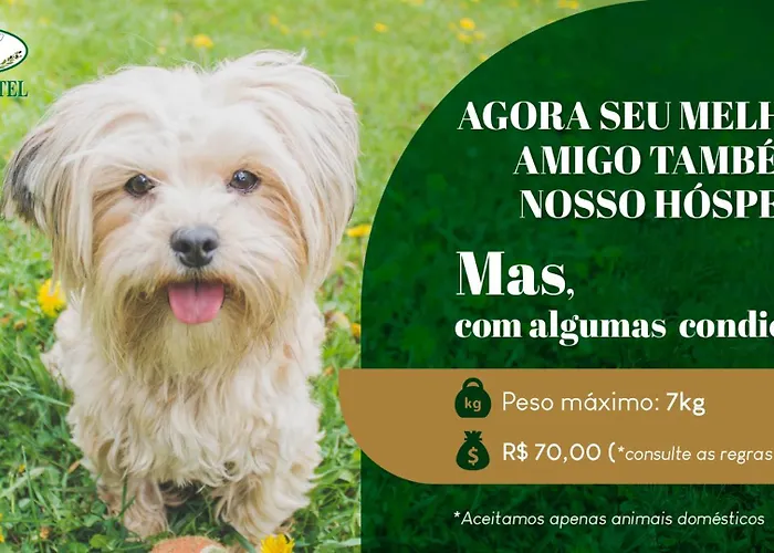 Ellus