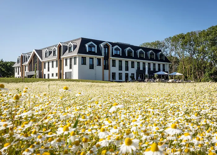 Het Eilandhotel De Cocksdorp 