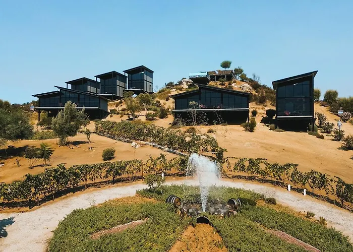 Origen75 Loft - Villas - Skypool - Vinedo, Valle De Guadalupe