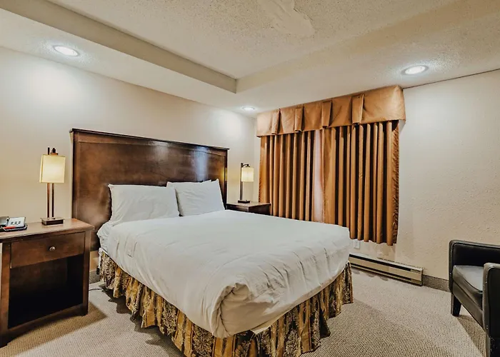 Coquitlam Dog Friendly Hotels