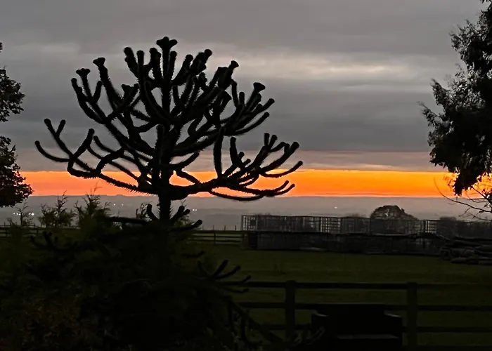 Pickering Dog Friendly Hotels