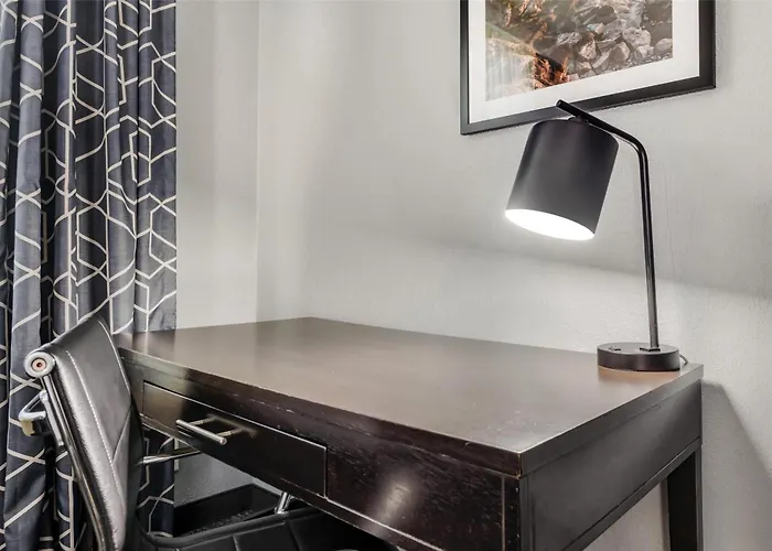 Rochester Dog Friendly Hotels