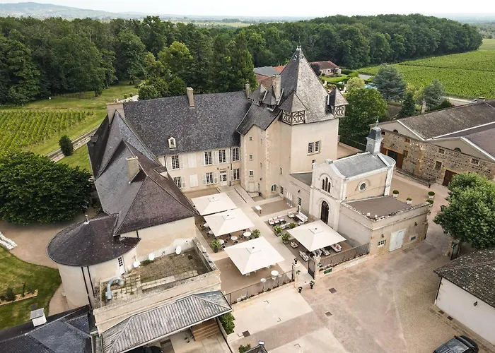 Château De Pizay