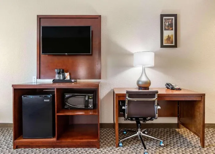 Comfort Inn & Suites Navasota