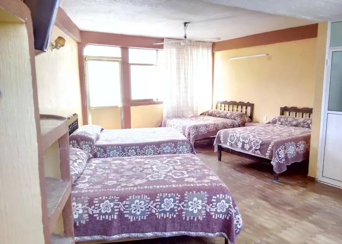 Hotel Olimar