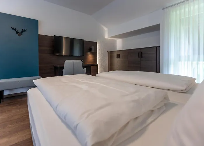 Hotel Hirsch Kehl