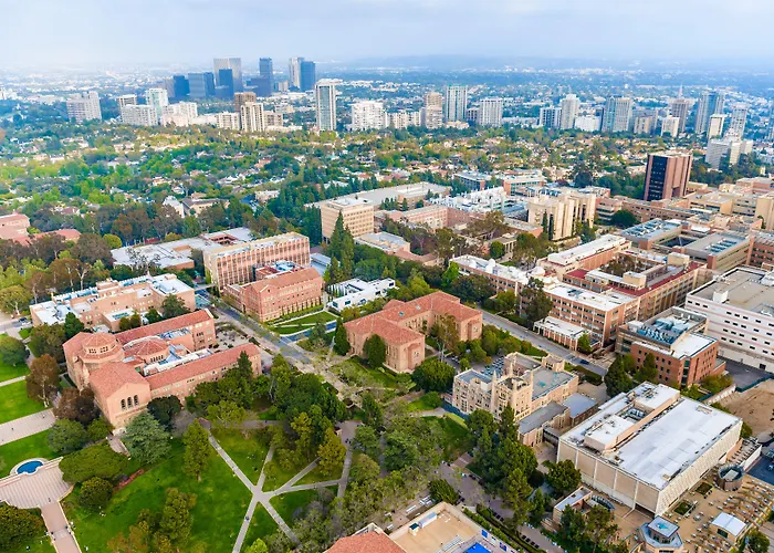 Kimpton Hotel Palomar Los Angeles Beverly Hills By Ihg