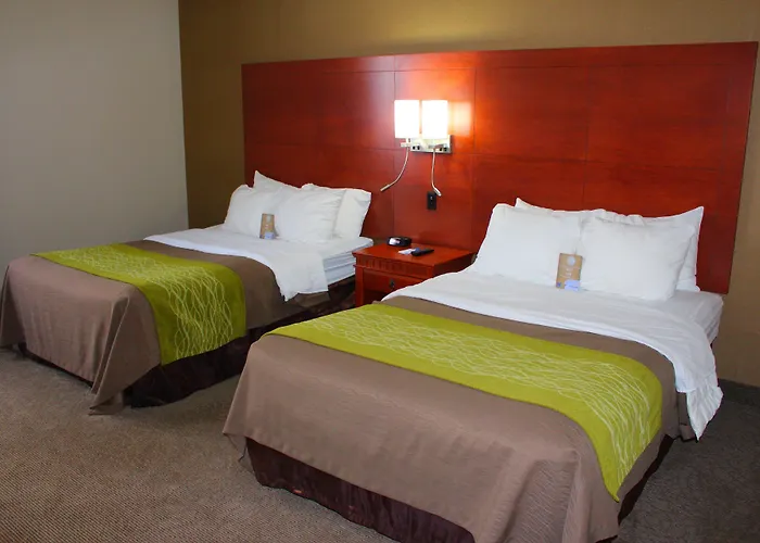 Barrie Dog Friendly Hotels
