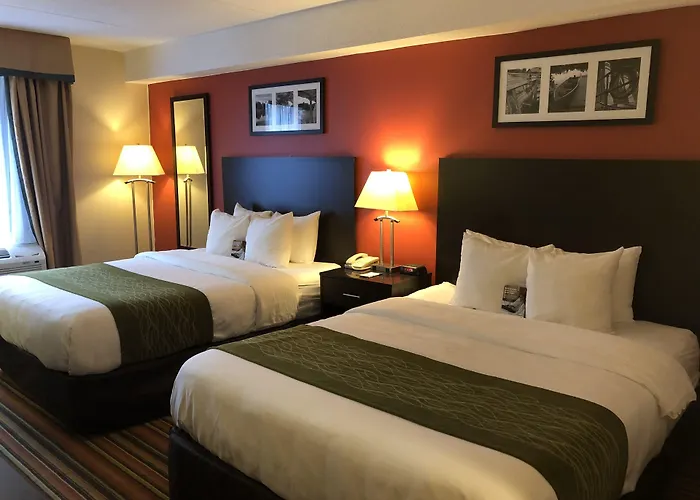 Comfort Hotel & Suites