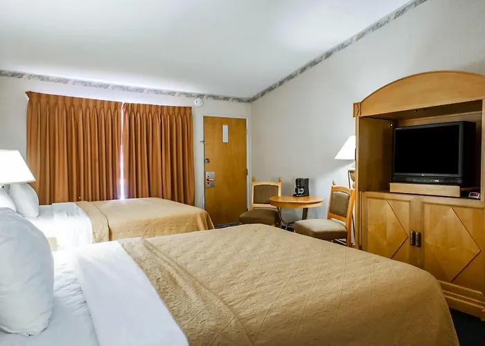 Kings Beach Dog Friendly Hotels