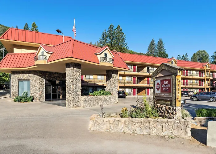 Mariposa Dog Friendly Hotels