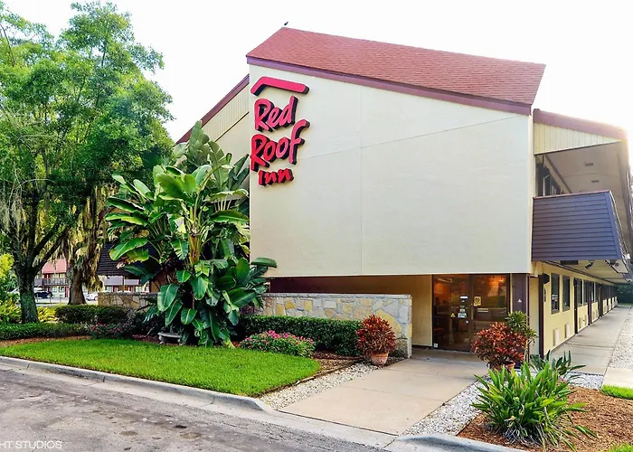 Red Roof Inn Tampa Fairgrounds - Casino
