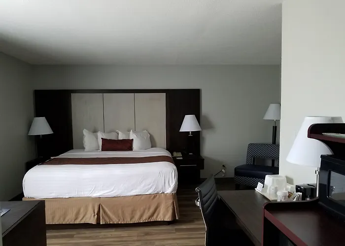 Wyndham Garden Hotel - Jacksonville