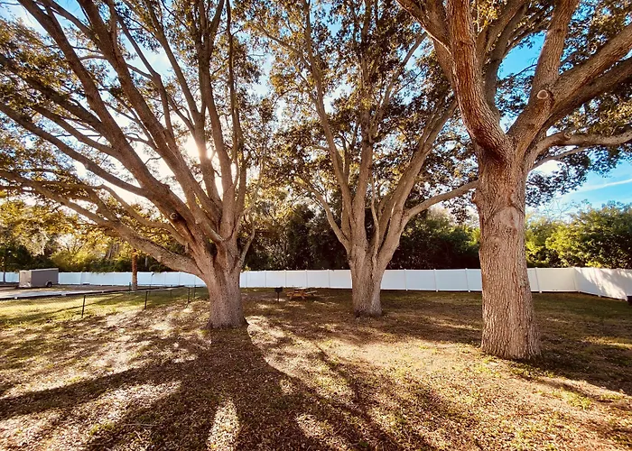 La Quinta By Wyndham Clearwater Central