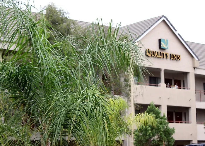 Quality Temecula Valley Wine Country