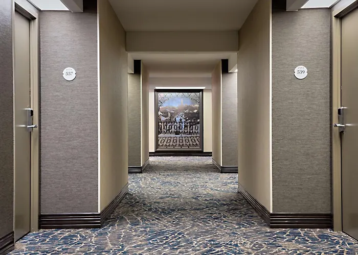 Hilton New Orleans Airport