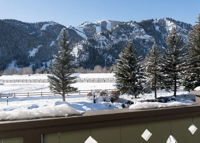 Stanley Dog Friendly Hotels