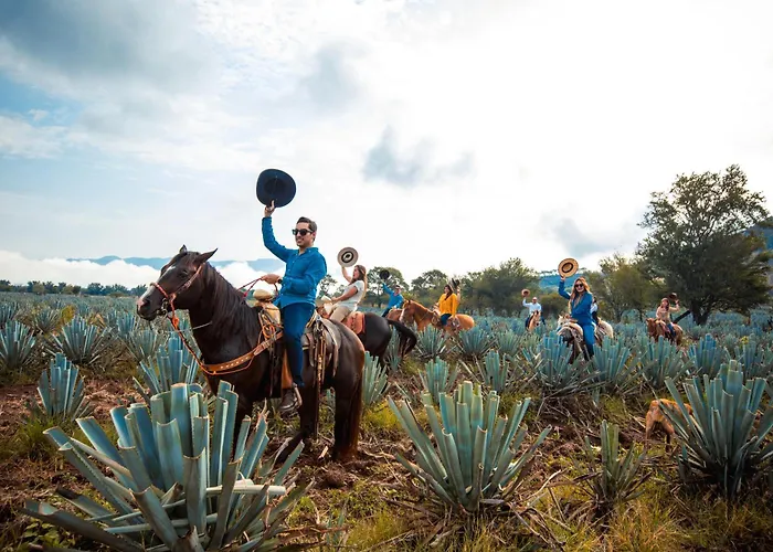 Matices Hotel de Barricas Tequila