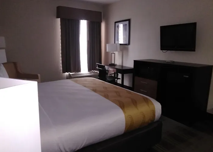 Quality Inn & Suites Mount Vernon