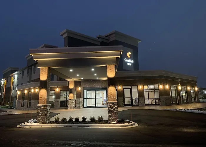 Comfort Inn Detroit - Troy