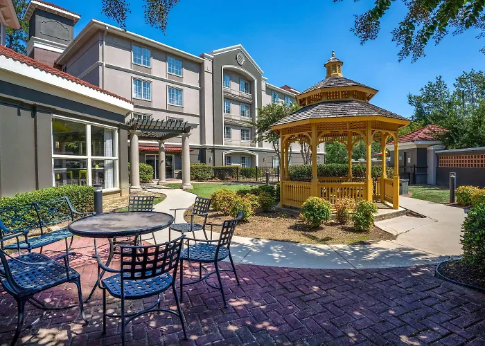 Hoover Dog Friendly Hotels
