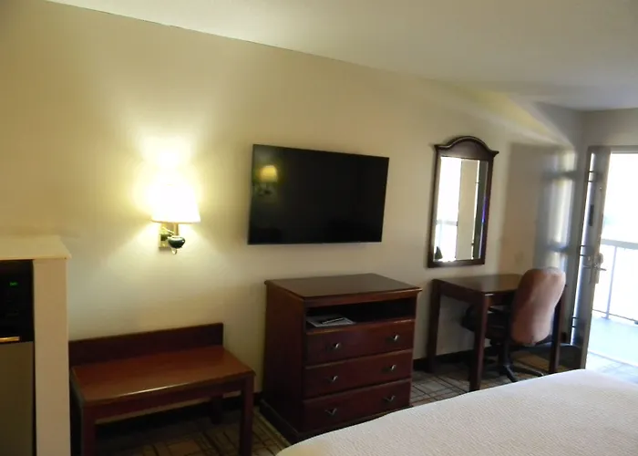 Bainbridge Dog Friendly Hotels