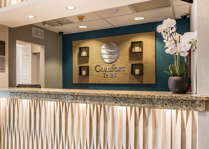 Comfort Inn South - Springfield