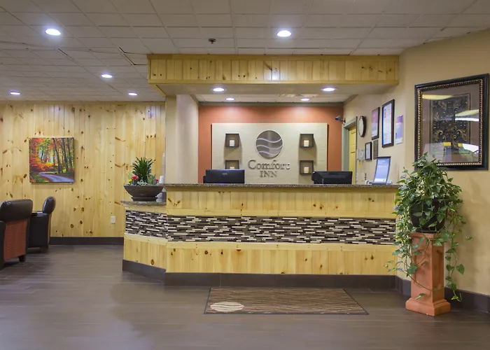 Comfort Inn Asheville Airport Fletcher