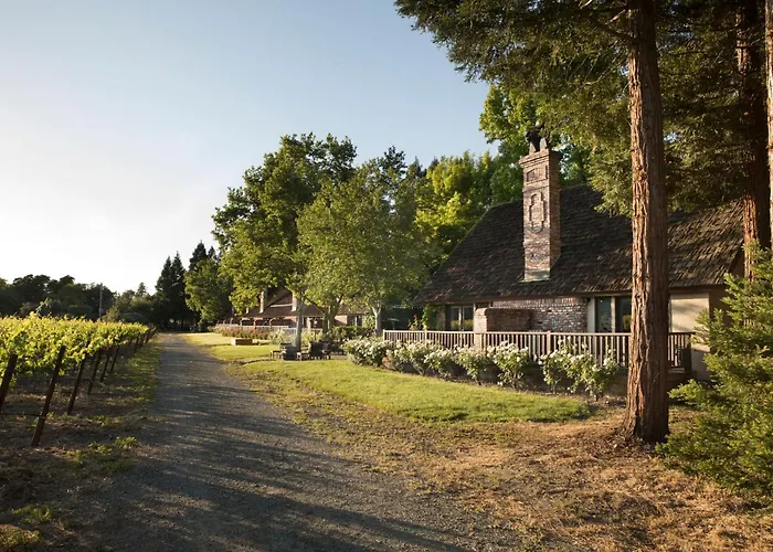 St. Helena Dog Friendly Hotels