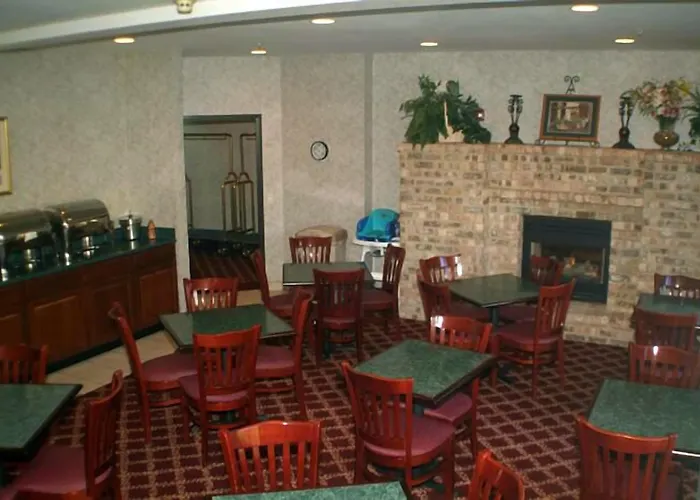 New Buffalo Dog Friendly Hotels