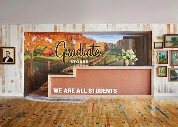 Graduate By Hilton Storrs