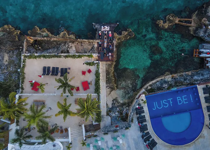Cozumel Dog Friendly Hotels