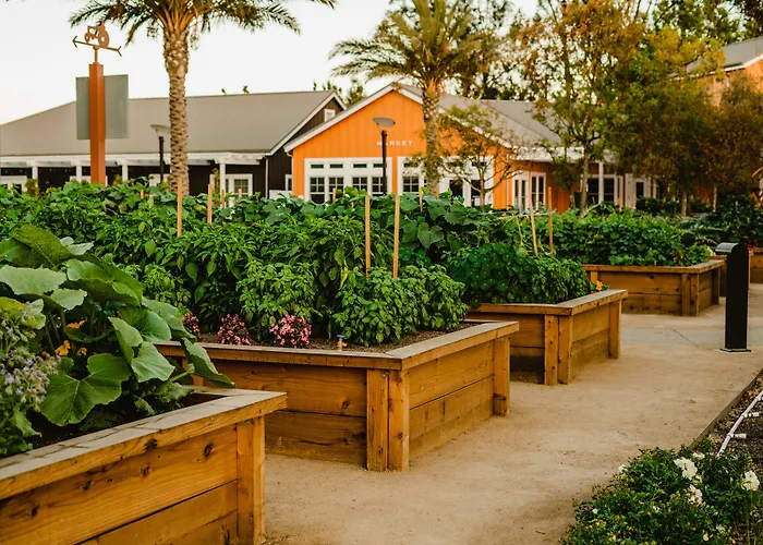 Carneros Resort And Spa Napa
