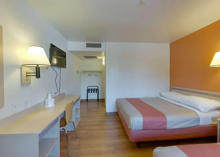 Weed Dog Friendly Hotels