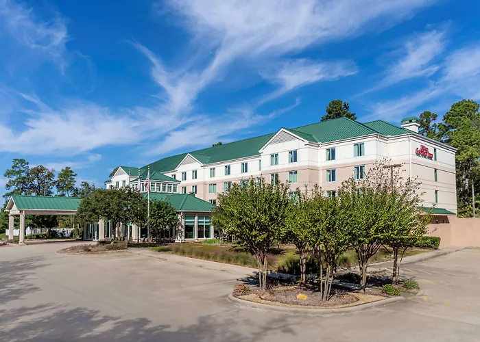 Hilton Garden Inn Houston/