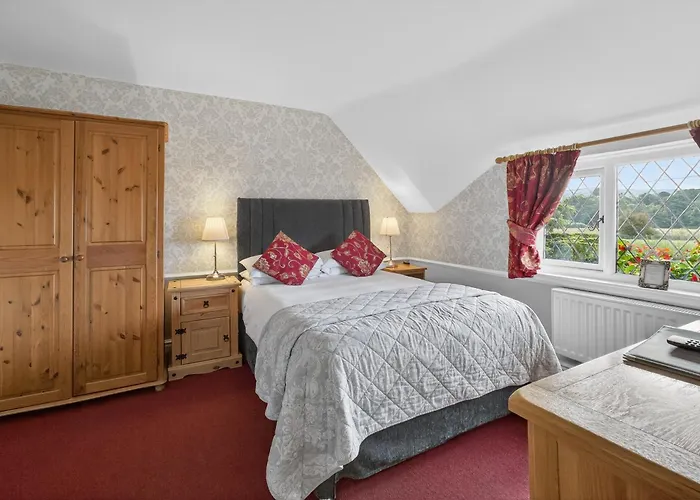 Greyhound Country Inn Honiton