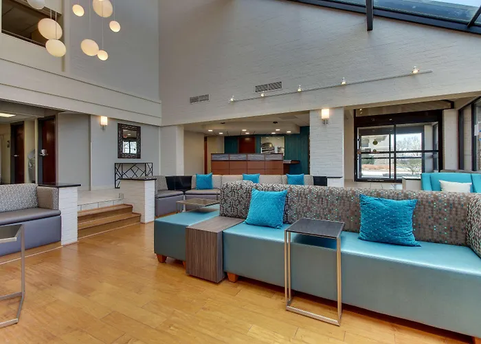 Brooklyn Dog Friendly Hotels