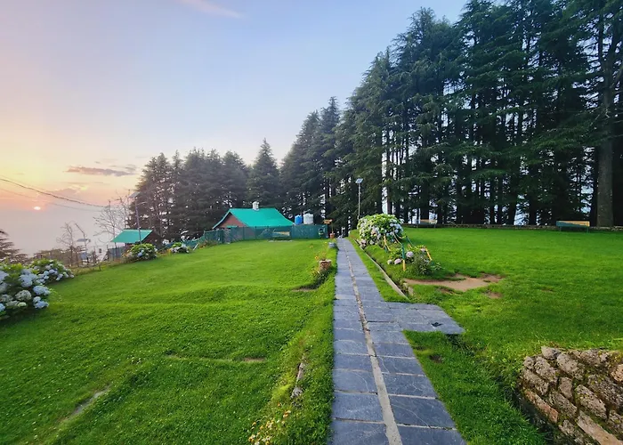 Forest Vibes Kalatop-Rooms And Restaurant