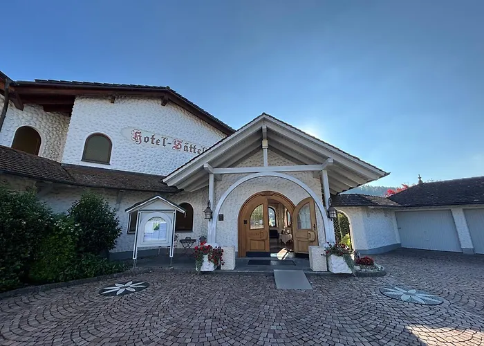 Hotel Saettele - Im Hegau, Nahe Singen & Radolfzell Am Bodensee