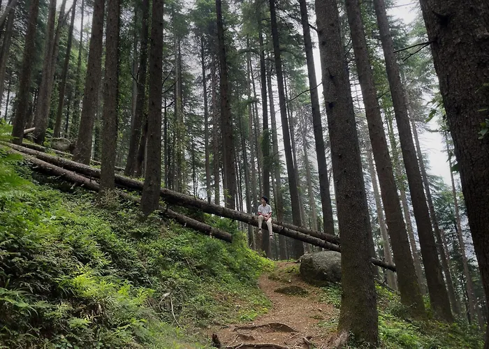 Smart Hill Kalatop, Dalhousie