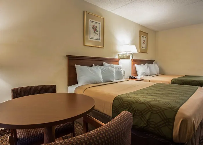 Econo Lodge Inn & Suites Lugoff