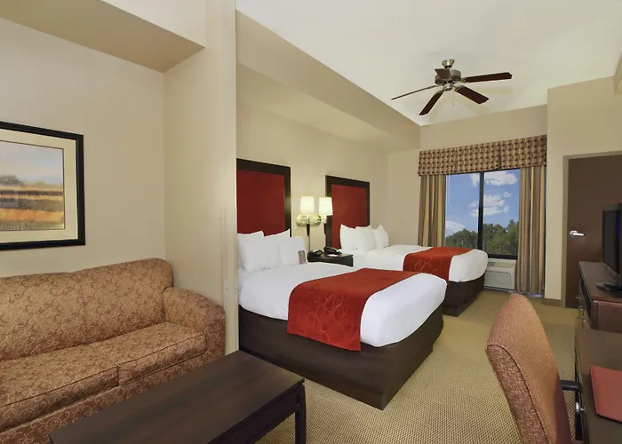 Comfort Suites Dfw N-Grapevine